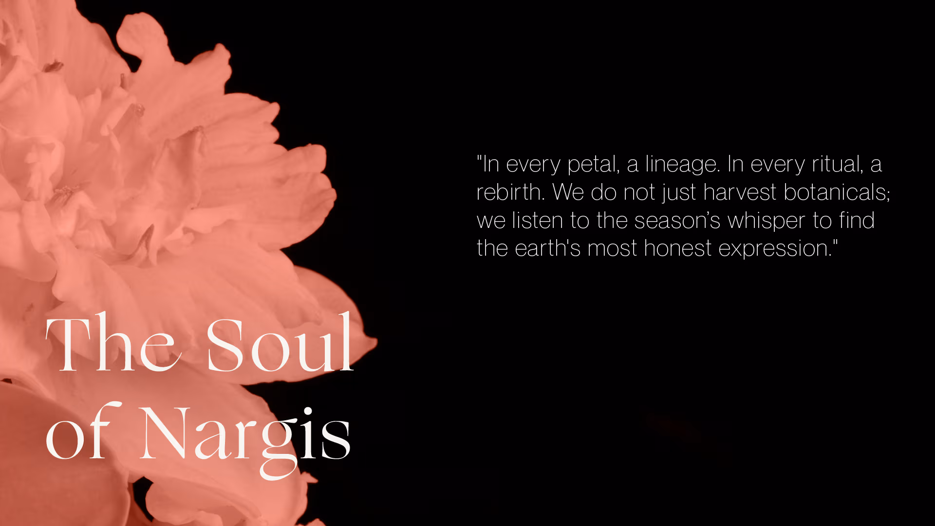 Nargis Application 3